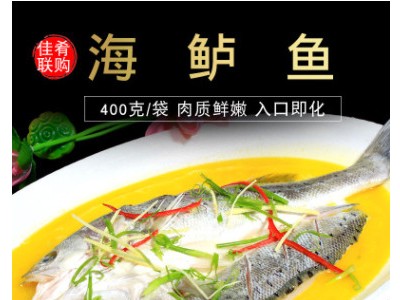 冰鲜海鲈鱼400g 净膛 特色干锅半成品菜私房菜冷冻水产海鲜