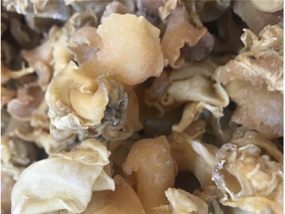 海承行海味干货批发新西兰螺头肉 味香浓螺肉水产干货一件代发