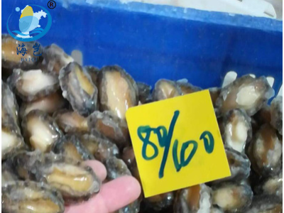 生鲜水产小鲍鱼肉80-200粒/斤海产海鲜鲜活去壳纯肉漂烫八分熟
