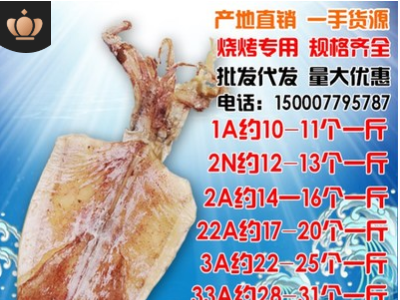 广西北海海鲜越南烧烤手撕大小鱿鱼干水产干货尤鱼干散装批发1斤