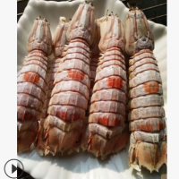 野生皮皮虾干虾蛄干虾爬子批发海鲜干货海产品纯淡干无添500克