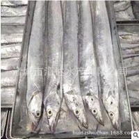 【一手货源】优质野生东海带鱼13-15重8斤/件 小头大眼 厂家直销