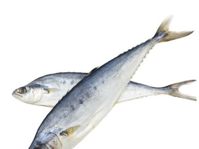 广西北海马鲛鱼干特产海鲜干货鰆鱼干清蒸鱼鲅鱼干梅香咸鱼干500g