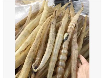 鱼胶（野生鳝鱼肚，规格15头，泡发4-5斤）