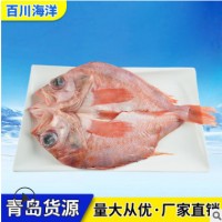 厂家批发进口野生红石斑鱼 蝴蝶片石斑鱼 替代红罗非 包物流运费
