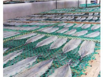 渔民自晒10公斤马步鱼干烧烤碳烤专用马步鱼新鲜美味可口马步鱼片