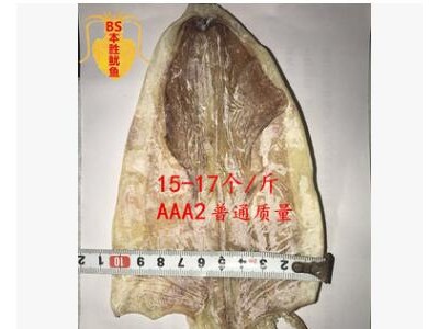 大量批发烧烤鱿鱼干手撕鱿鱼干芥末鱿鱼干中号鱿鱼干14-18个/斤图2