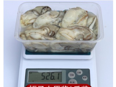 生蚝肉鲜活现剥冰鲜新鲜海鲜水产即食去壳海蛎子3斤牡蛎肉满包邮