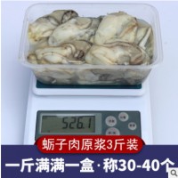 生蚝肉鲜活现剥冰鲜新鲜海鲜水产即食去壳海蛎子3斤牡蛎肉满包邮