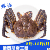 俄罗斯进口帝王蟹2斤-15斤/只 鲜活进口大螃蟹 海鲜水产进口螃蟹