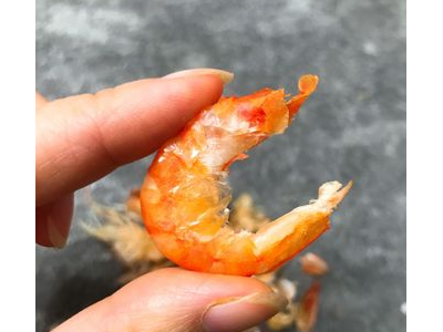 微商爆款 手剥虾仁干 即食对虾烤大虾干200g袋装一件代发大虾仁图3