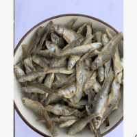 火焙鱼野生美味小鱼仔湖南特产淡水河鱼干货厂家批发常年供货500g