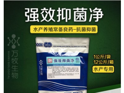 水产养殖药品大菱鲆多宝鱼专用药红嘴烂窝肠炎水产药品厂家直销图2