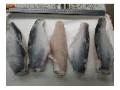 成都冷冻海鲜水产 8成带皮龙利鱼巴沙鱼柳 含量标准