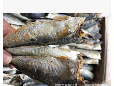 巴浪鱼干 野生巴浪鱼干 提鱼干 水产干货图2