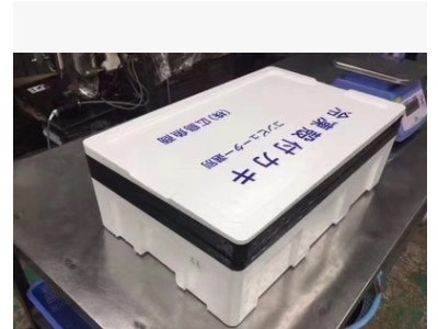 栉孔贝 冷冻小扇贝 烧烤食材冻煮栉孔贝 10KG餐饮供应80-100只/KG图3