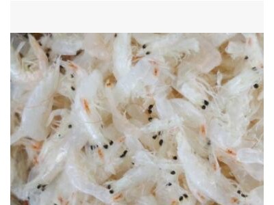 甜干即食淡干野生海洋虾皮渔民捕捞虾皮500g