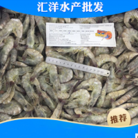 新鲜海捕大虾鲜活海鲜水产青虾批发 印度6公斤海虾速冻活虾
