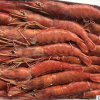 直销水产海鲜 阿根廷红虾L1超大进口鲜活海鲜水产 2kg红虾海虾