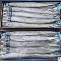 厂家直销 渤海刀鱼带鱼深海海鲜新鲜野生刀鱼5斤整条整箱