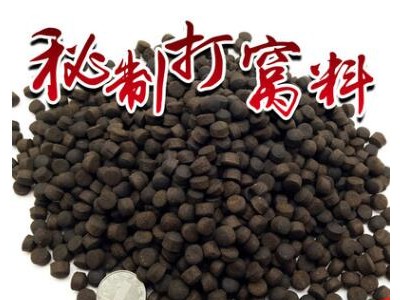 浓腥鲟鱼鲤鱼虹鳟草鱼垂钓打窝饵料颗粒快速诱鱼慢速下沉快速图1