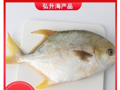 厂家直销 烟台海鲜 新鲜鲳鱼 海鲜批发销售