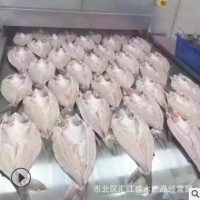 越南进口开背巴沙鱼片新鲜冷冻鱼柳酸菜鱼食材20斤