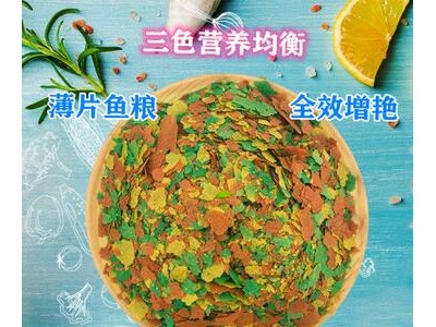 薄片鱼粮小型热带观赏鱼七彩金鱼饲料孔雀鱼苗增体薄片鱼食散批装图3