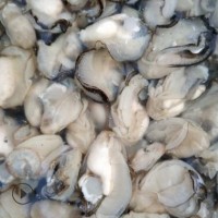 海鲜水产鲜活现剥野生牡蛎肉海蛎子肉去壳袋装生蚝肉500g