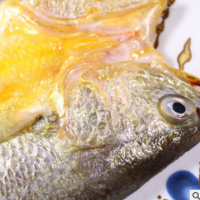 福建霞浦黄鱼鲞 多种规格 鱼类海鲜水产品冷冻 厂家批发