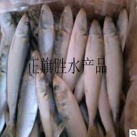 冷冻沙丁鱼 灯光沙丁qg 一箱60-80条 用于金枪鱼饵料 或晒咸鱼干