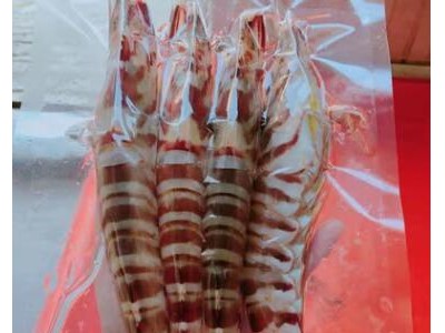 厂家直销 海鲜斑节虾 明虾 野生活冻现货