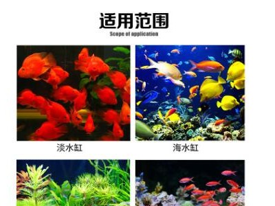 德国EHEIM伊罕易提内置式过滤器 内滤机械战警水族养鱼过滤器图3