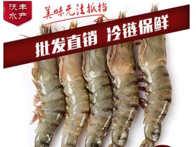 批发销售海虾 班节虾 天然海虎虾 野生冰冻虾5头/盒