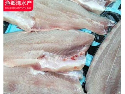 巴沙鱼柳 新鲜水产鲜嫩鱼肉火锅配菜 直销供应巴沙鱼柳图2