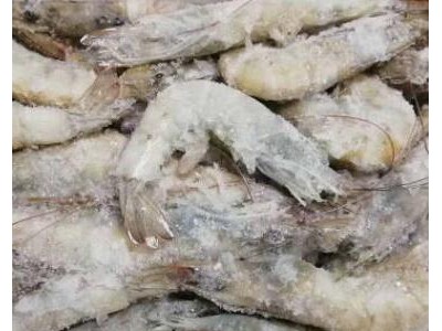 连云港水产冰冻海鲜大虾3.6斤装 海虾40-50 海鲜速冻对虾