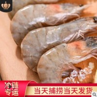 冰鲜厄瓜多尔大虾4斤装 海虾50-60 海鲜速冻对虾南美白虾水产批发