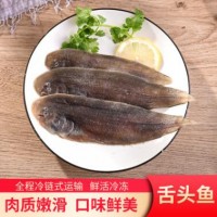 新鲜舌鳎鱼连云港海鲜特产舌头鱼踏板鱼龙利鱼宝宝辅食水产批发
