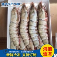 海捕大虾厂家供应 饭店用礼品盒装对虾 水产年货大虾
