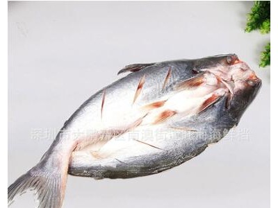 冷冻巴沙鱼片 龙利鱼柳 生鲜开边整条海鲜巴沙鱼 餐饮
