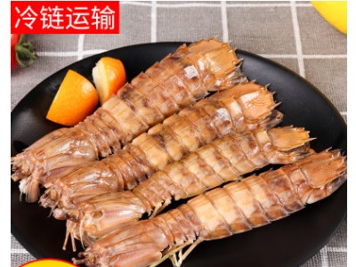 海鲜冷冻爬虾肉冷冻皮皮虾肉 濑尿虾虾姑批发餐饮火锅海鲜批发图2