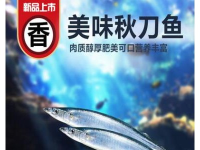 海鲜水产品秋刀鱼冷冻新鲜水产秋刀鱼优质冷冻野生秋刀鱼烧烤专用图2