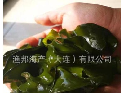 大连海产 海灵芝 海木耳 裙带菜 10kg/件 酒店火锅店食用图3