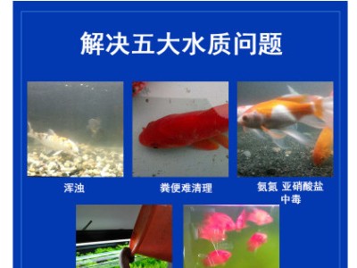 玩家宝贝硝化细菌 鱼缸硝化细菌 高浓度液态活菌图3