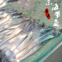 天然刀鱼 带鱼冷冻舟山海鱼 无冰东海带鱼700克-1000克/条20斤/件