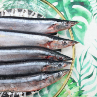 秋刀鱼新鲜冷冻深海海刀鱼1斤4-5条舟山海捕肉质鲜美日料烧烤食材