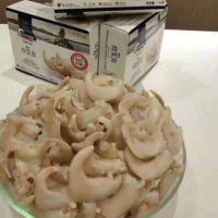 加拿大进口清水牌白玉贝 刺身寿司酒店高档食材 1kg一盒冰鲜批发