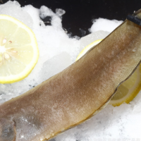 产地直销小踏板20斤装 新鲜龙利鱼冷冻海鱼舌板鱼 餐饮食材踏板鱼
