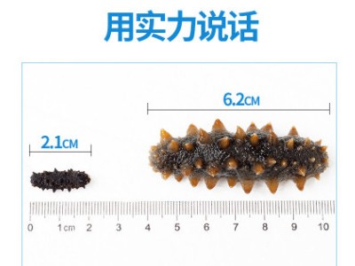 批发宁德大黄鱼 醇香黄鱼鲞 新鲜 开背黄花鱼 黄瓜鱼新鲜 冷冻图3