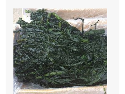 【工厂供应】盐渍裙带菜海白菜海藻菜凉拌菜5倍泡发散装10公斤/箱图1